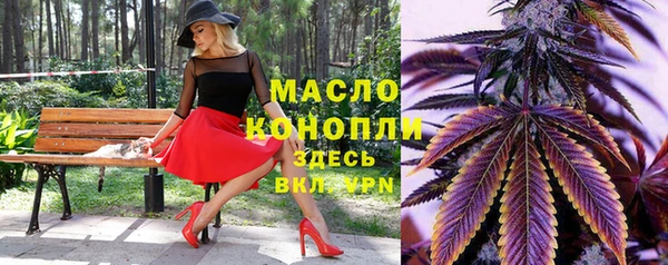 spice Богородск
