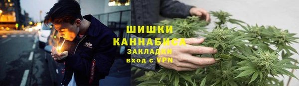 spice Богородск