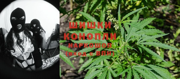 spice Богородск