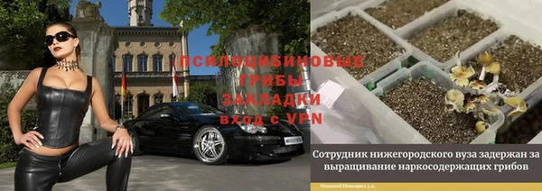 spice Богородск