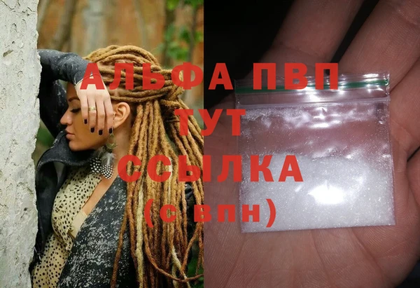 spice Богородск