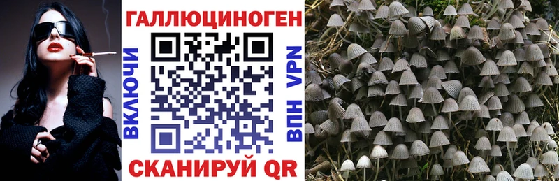 мега как зайти  Острогожск  Галлюциногенные грибы Psilocybine cubensis  хочу наркоту 
